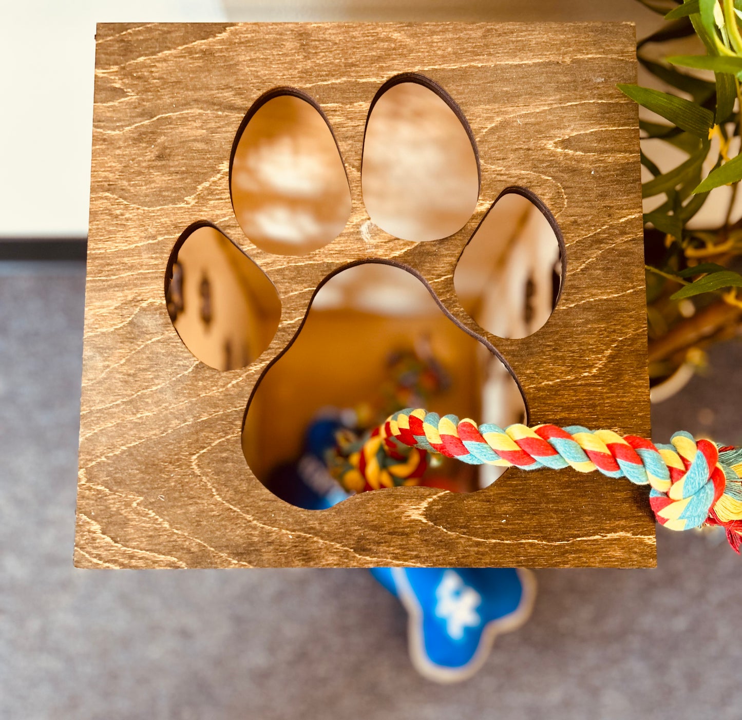 Customized Dog Toy Box - KY Custom Engraving - Made in {{ shop.shopifyProvince }}