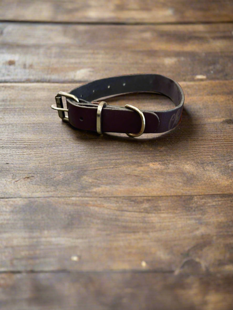 Dog Leash with Collar - KY Custom Engraving - Made in {{ shop.shopifyProvince }}