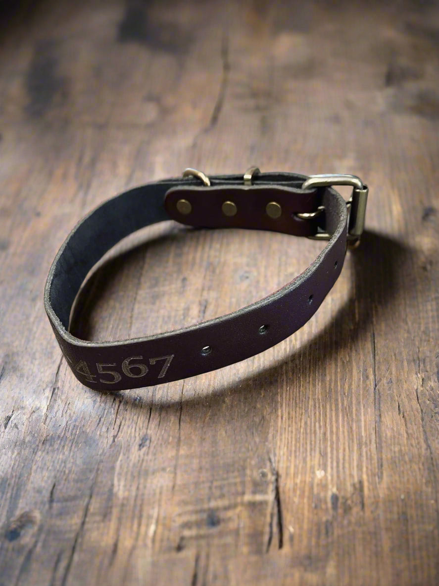 Dog Leash with Collar - KY Custom Engraving - Made in {{ shop.shopifyProvince }}