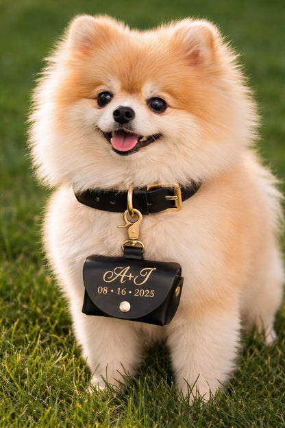 Personalized Ring Bearer Collar Case