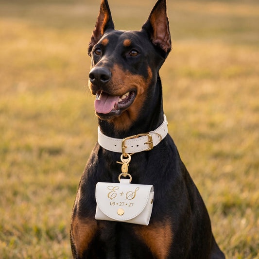 Personalized Ring Bearer Collar Case